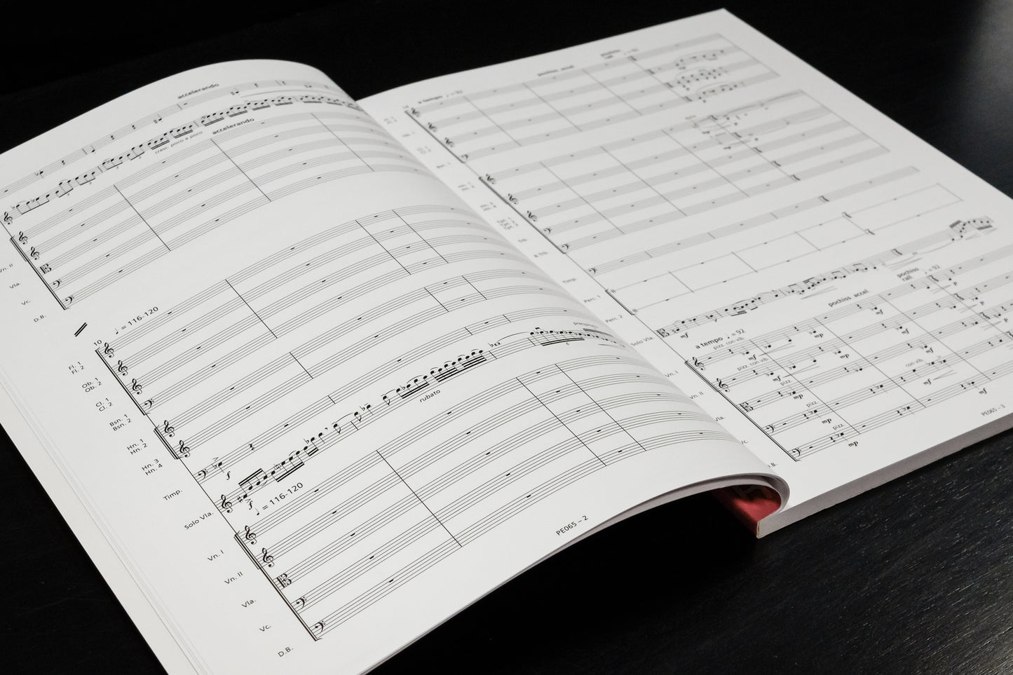 Viola Concerto (ed. Erdélyi)